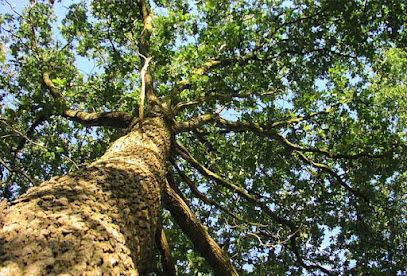 AA Affordable Tree Service, LLC