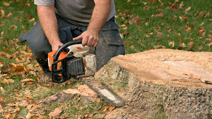 Brown County Tree Service
