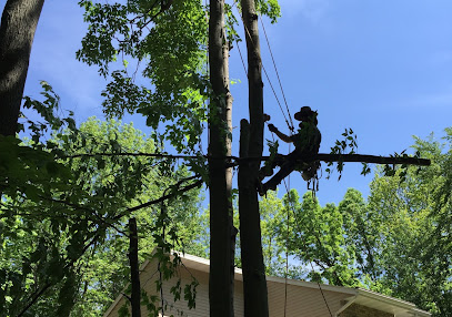 Curt's Tree Service